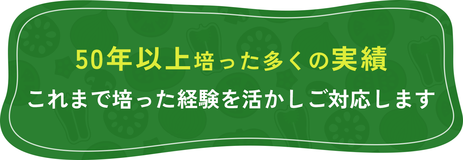 50年以上培った多くの実績